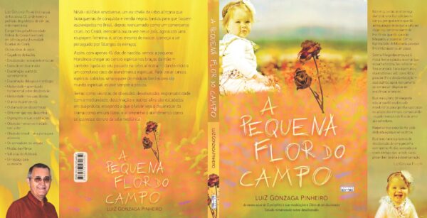 A pequena flor do campo