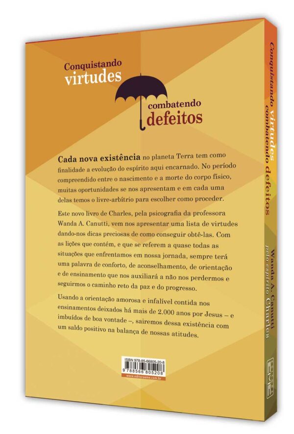 Conquistando virtudes - combatendo defeitos - Image 3