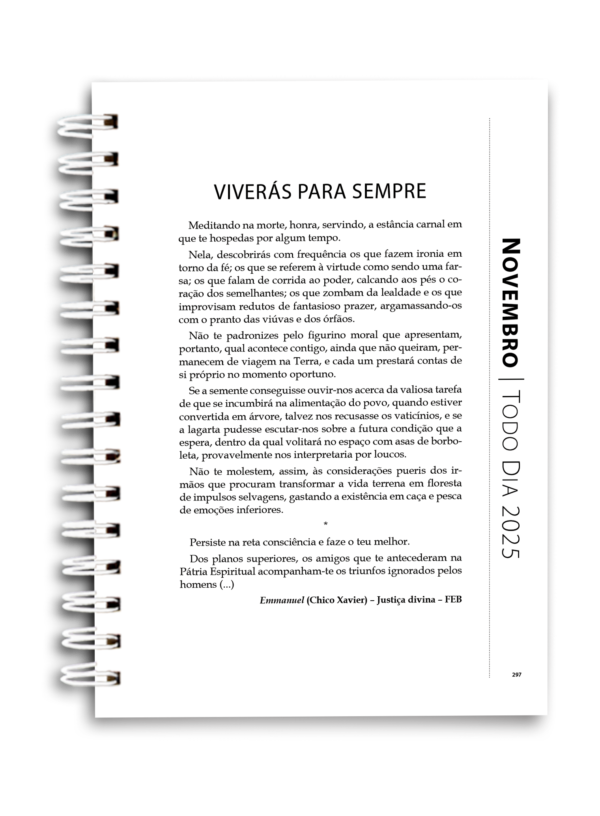 Agenda Todo dia 2025 - Wire-o capa dura - Image 3