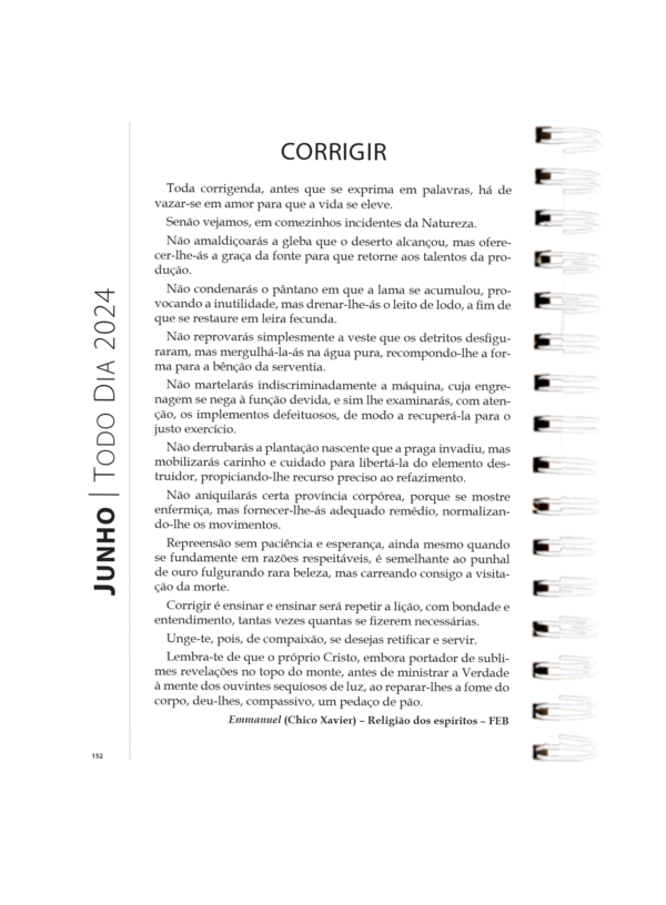 Agenda Todo dia Bolso capa dura 2024 - Image 5