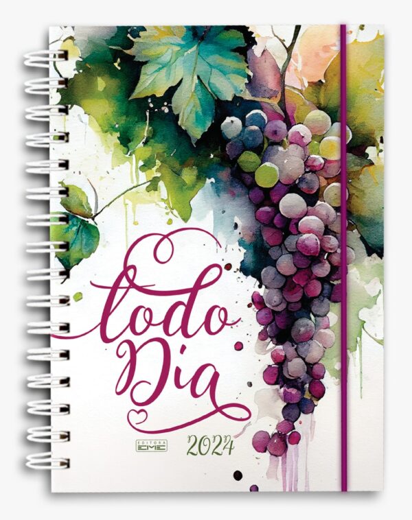 Agenda Todo dia Bolso capa dura 2024