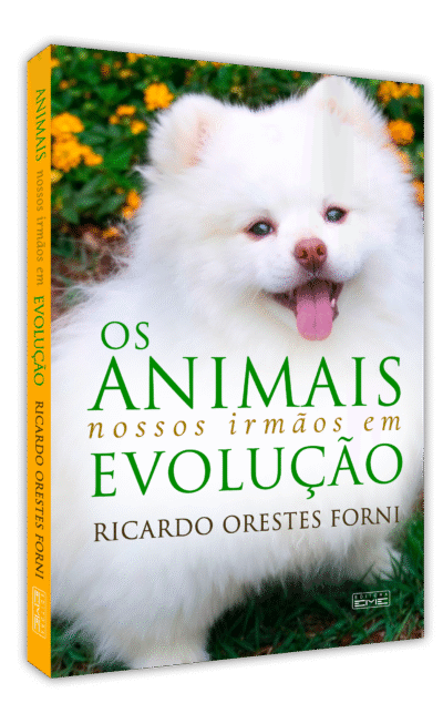 Os animais - nossos irmãos em evolução