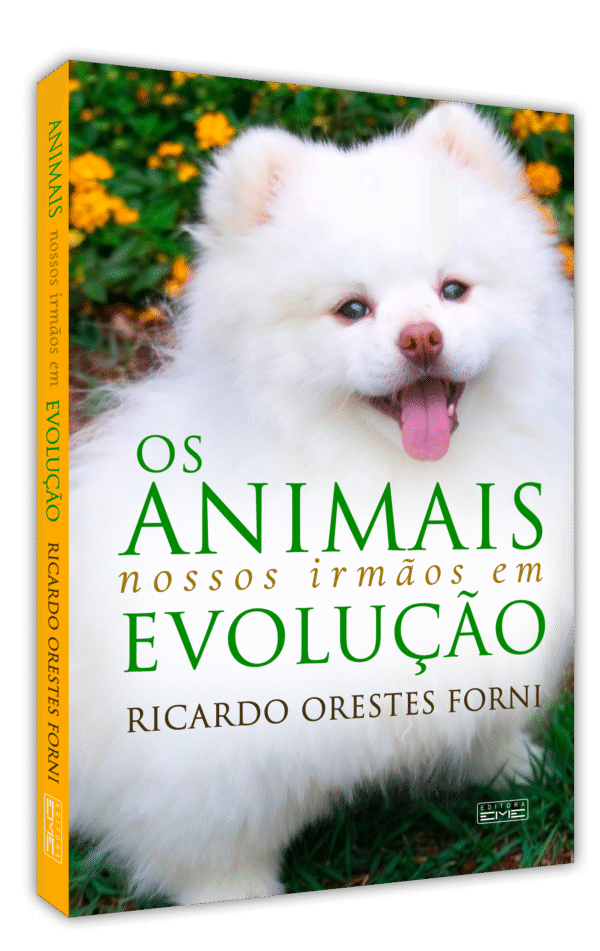 Os animais - Nossos irmãos em evolução - Imagem 3