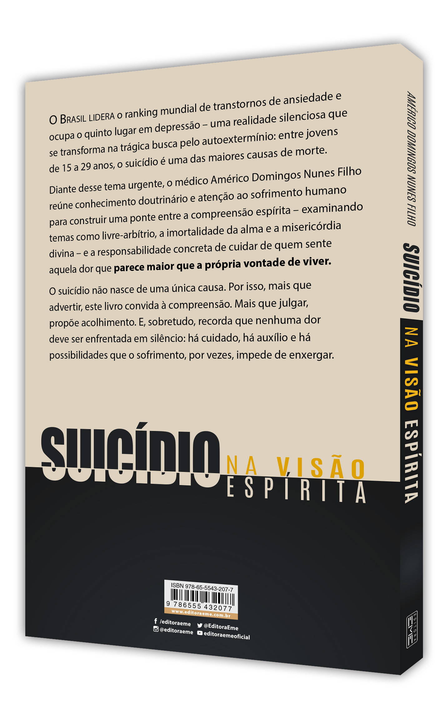 Suicídio na visão espírita - Imagem 3