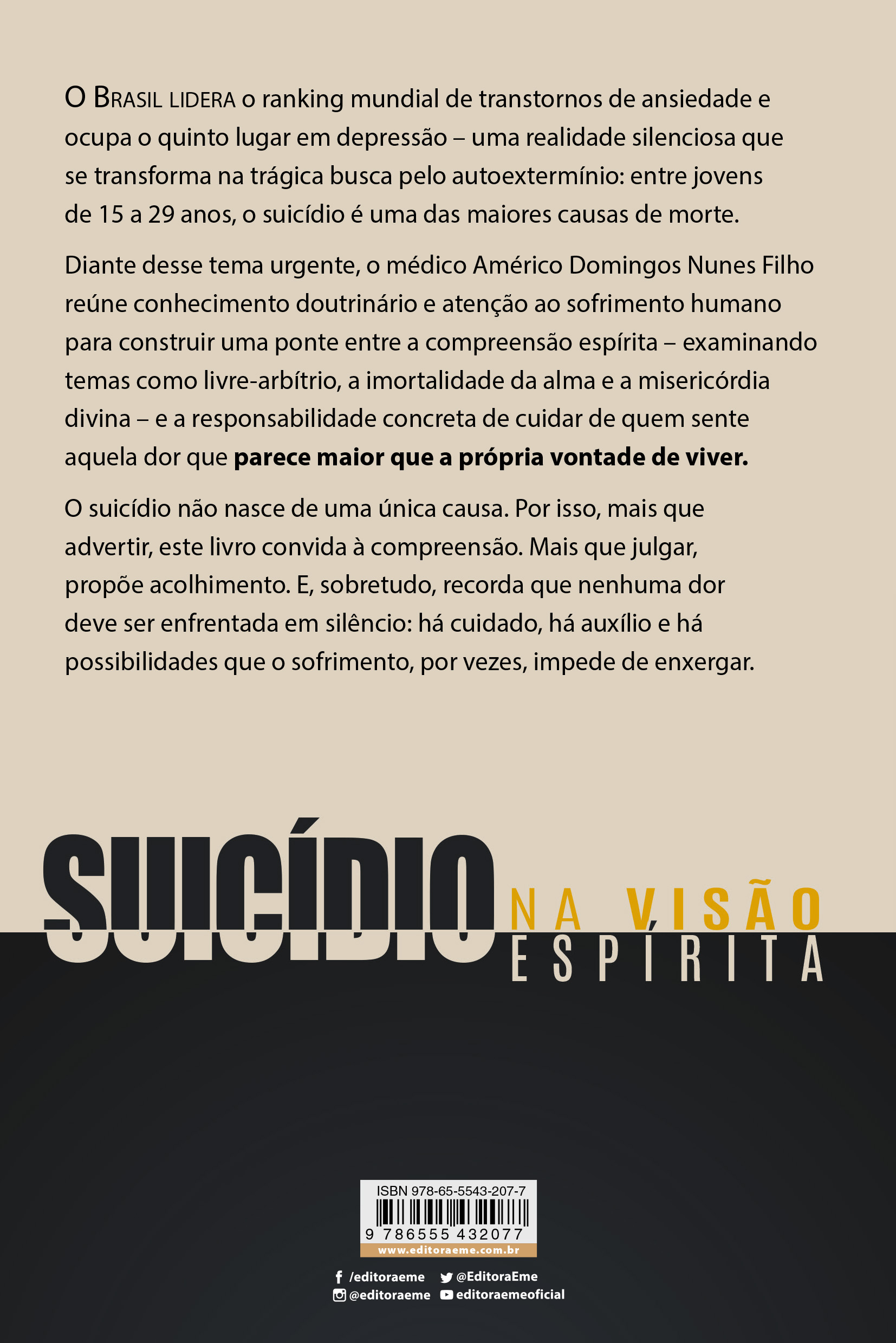 Suicídio na visão espírita - Imagem 5